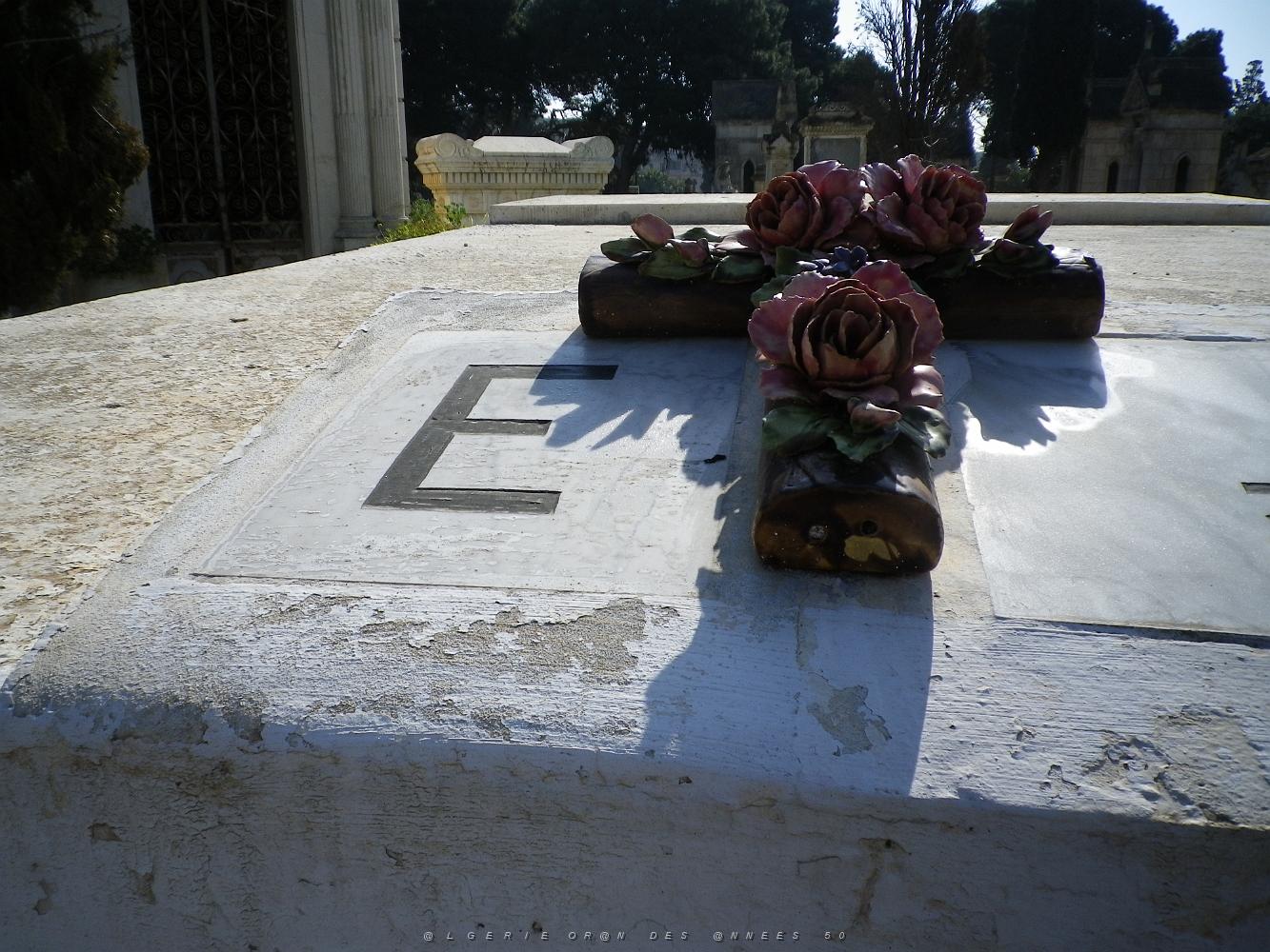CIMETIERE DE TAMAZOUHET D ORAN EN MARS 2012  (111).JPG